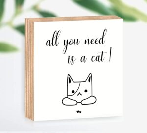 all you need is a cat